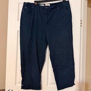 Women’s Talbots Blue Classic Fit Stretch 20W Pants